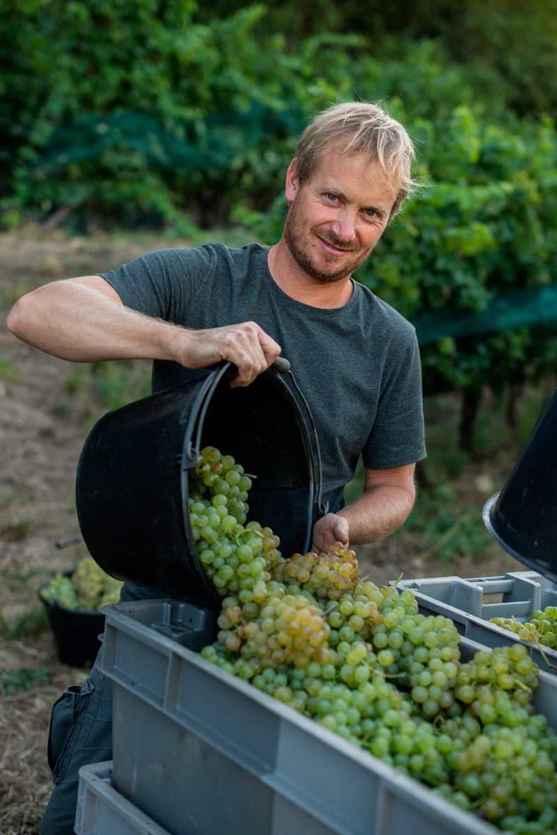 Domaine des Claus Domaine des Claus
