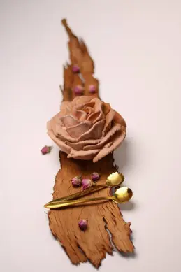 385-biocoop-grasse-les-pois-bio-magasin-decoration-patisserie.webp