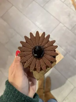 385-biocoop-grasse-les-pois-bio-magasin-fleur-chocolat-tartelette-patisserie-gourmandise.webp