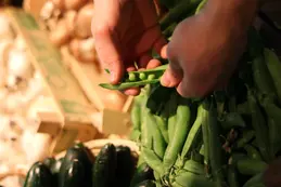 385-biocoop-grasse-les-pois-bio-magasin-haricot-vert-legume-saison-local.webp